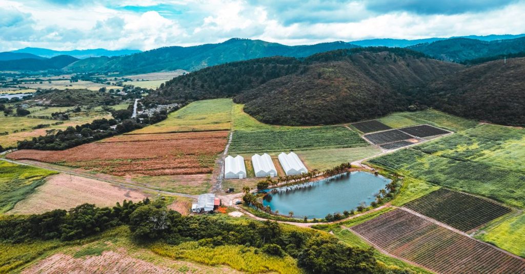 Pandangan udara drone dari lahan pertanian Salom, Yaracuy dengan pegunungan dan danau.
