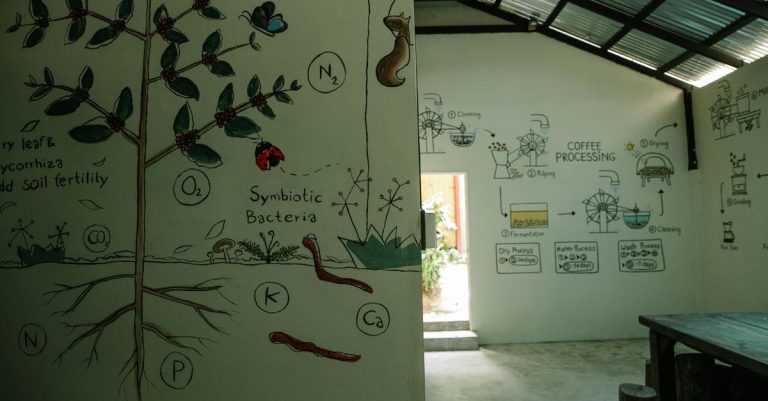 Mural rinci yang menggambarkan proses kopi dan biologi tanaman di dalam ruangan.