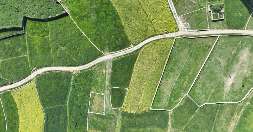 Pemandangan udara dari drone yang menampilkan ladang hijau subur dan pedesaan di Srinagar, India.