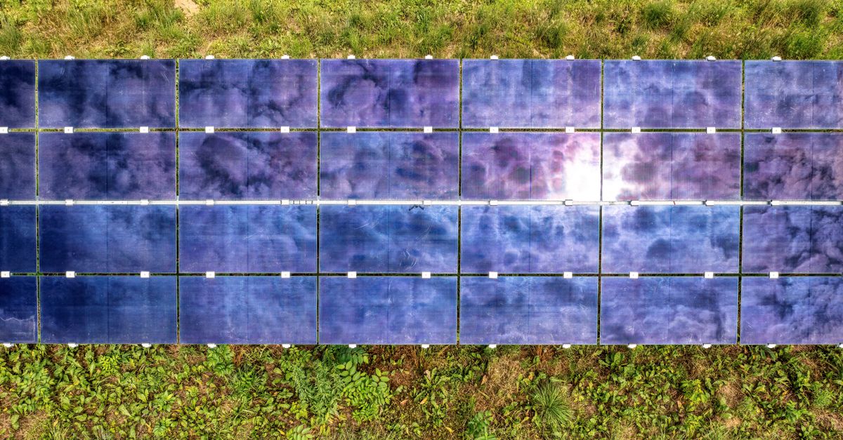 Tampilan atas panel surya energi berkelanjutan di ladang rumput di Minnesota.