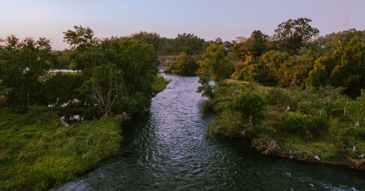 Pemandangan udara indah dari lanskap sungai hijau subur di MH, India, dikelilingi oleh pepohonan dan alam.