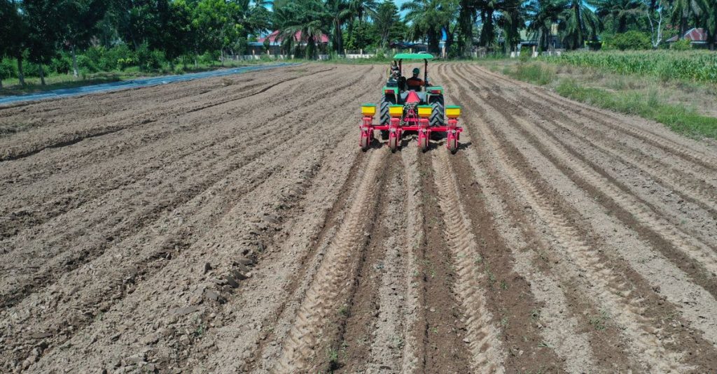 Sebuah traktor membajak ladang dengan pohon palem di latar belakang, menampilkan pertanian pedesaan di Indonesia.