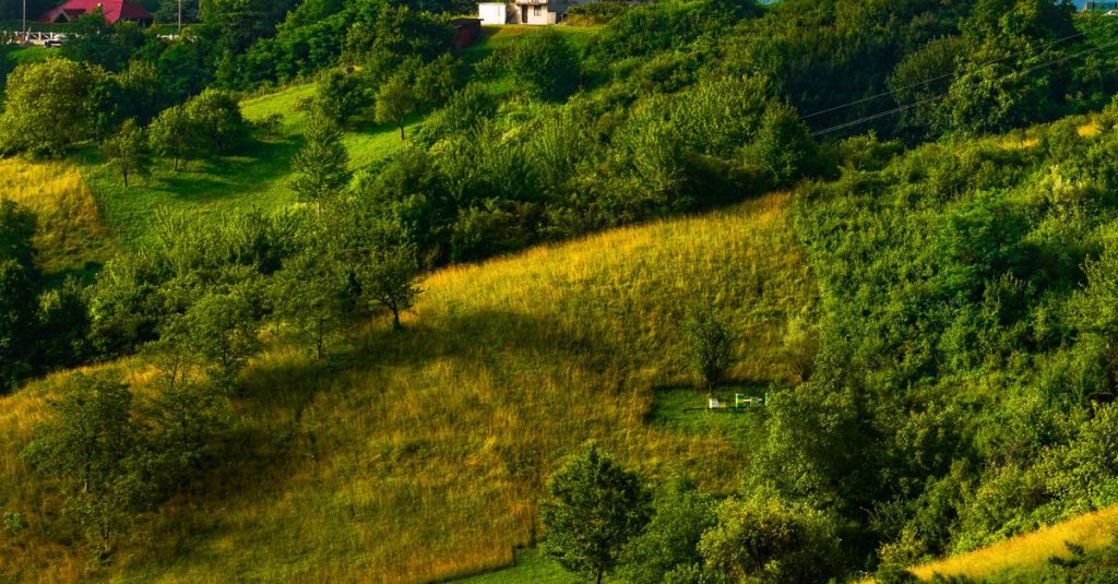 Pemandangan idilis di Samobor, Kroasia, dengan perbukitan hijau subur dan sebuah rumah terpencil.