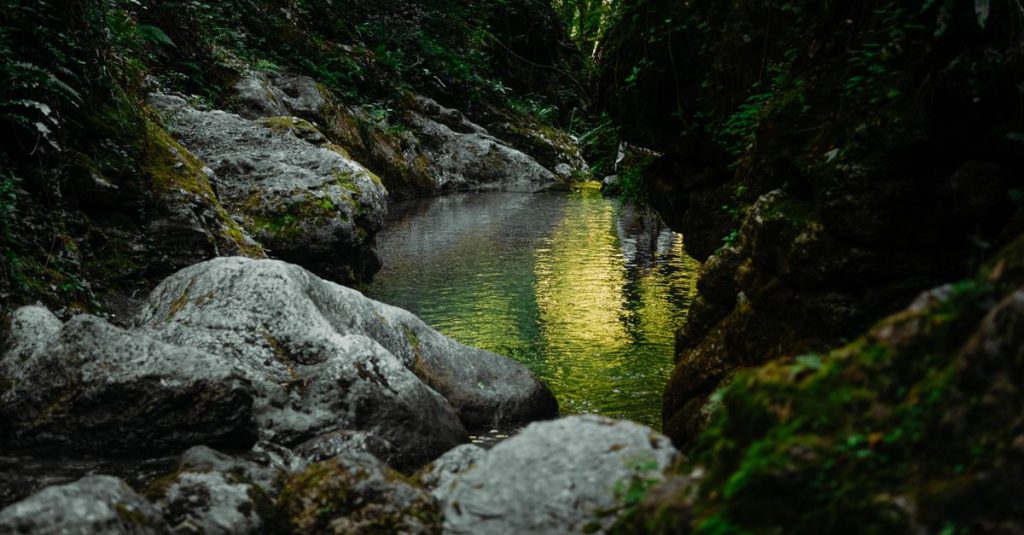 Sungai tenang dikelilingi oleh tanaman hijau subur dan batu-batu di Camaiore, Toscana, Italia.