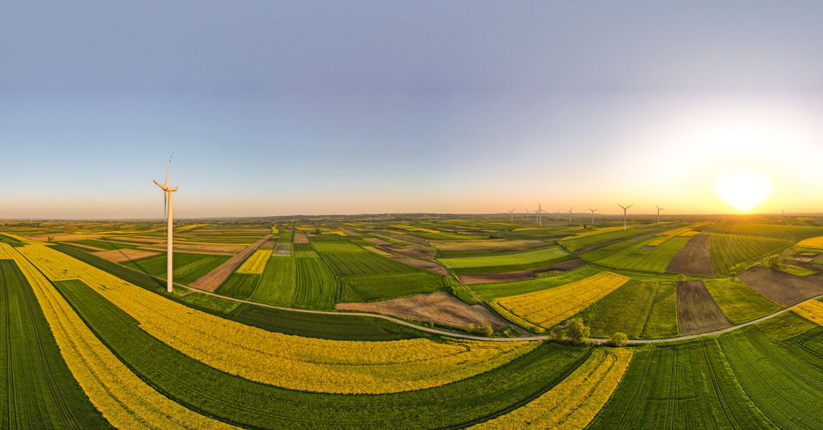 Pemandangan udara turbin angin di antara ladang berwarna-warni di Kosina, Polandia, saat matahari terbenam.