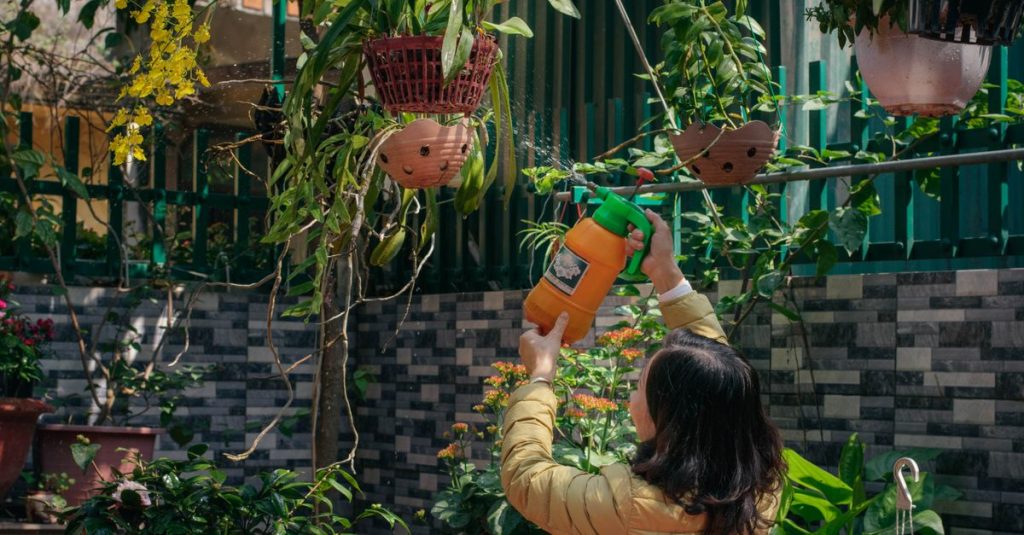 Seorang wanita menyiram tanaman gantung dan pot di taman luar ruangan yang subur.