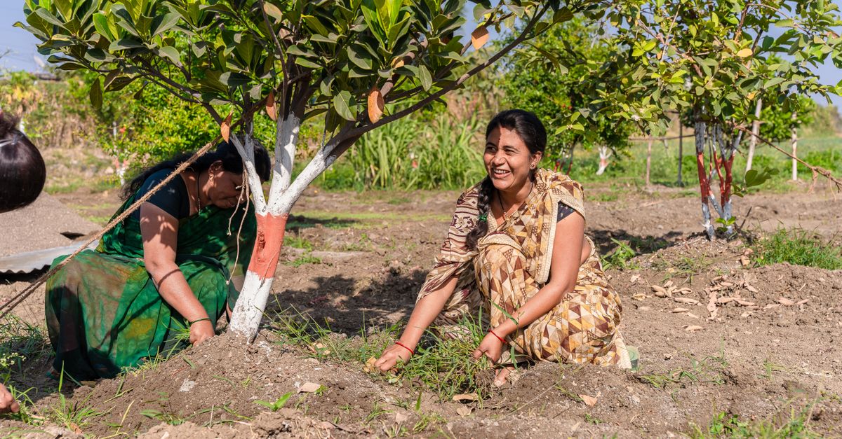 Petani wanita tersenyum bekerja pada hari yang cerah di Nagpur, mempromosikan pertanian pedesaan.