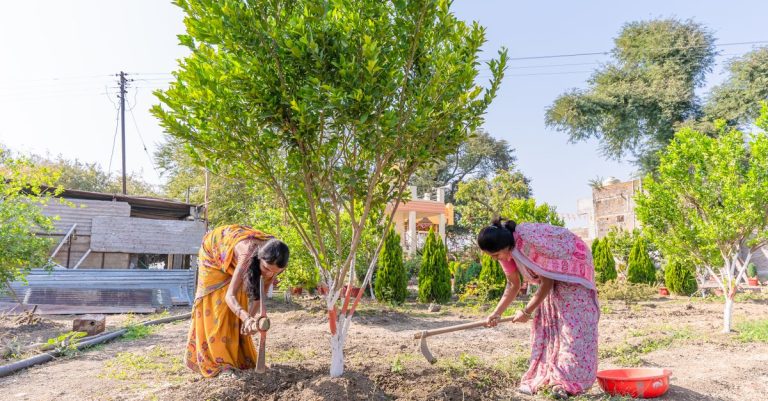 Dua wanita India bertani di lingkungan pedesaan, menggambarkan pertanian tradisional.