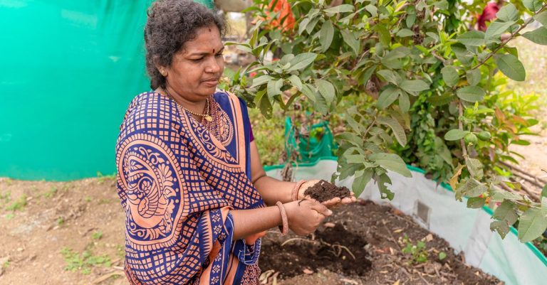Petani wanita Asia Selatan di pedesaan India memegang tanah, melambangkan pertanian berkelanjutan.