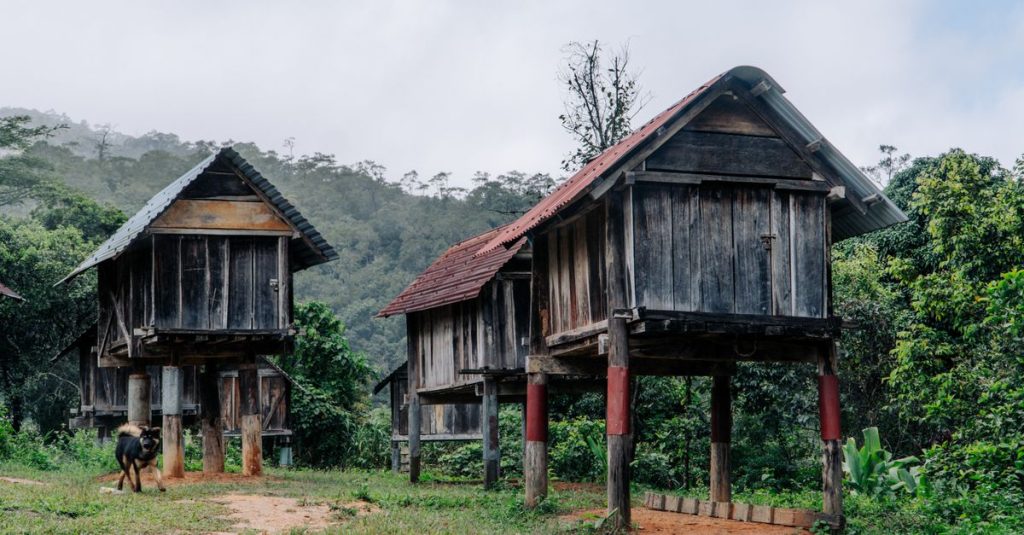 Pemandangan pedesaan yang menawan dengan rumah kayu yang terangkat dan vegetasi subur, menampilkan arsitektur tradisional.