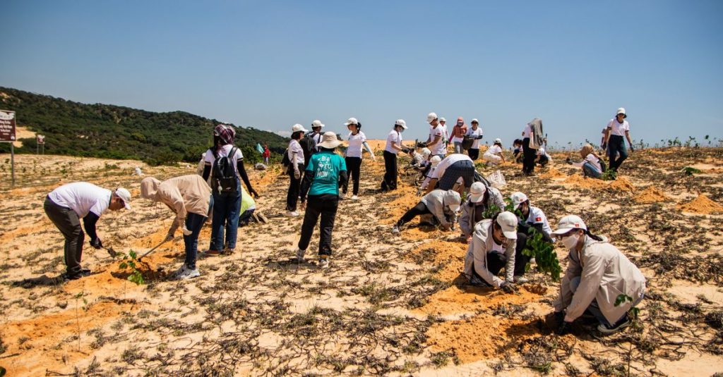 Sekelompok relawan menanam bibit di lanskap berpasir Phan Thiết, Vietnam.