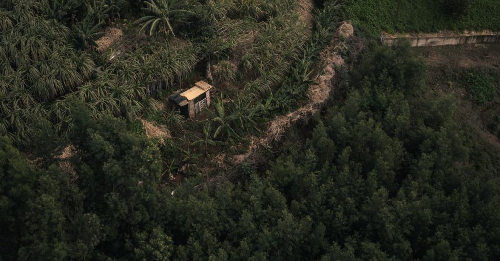 Pemandangan udara berupa pepohonan hijau yang lebat dan bangunan pedesaan kecil yang dikelilingi oleh tumbuhan hijau subur.