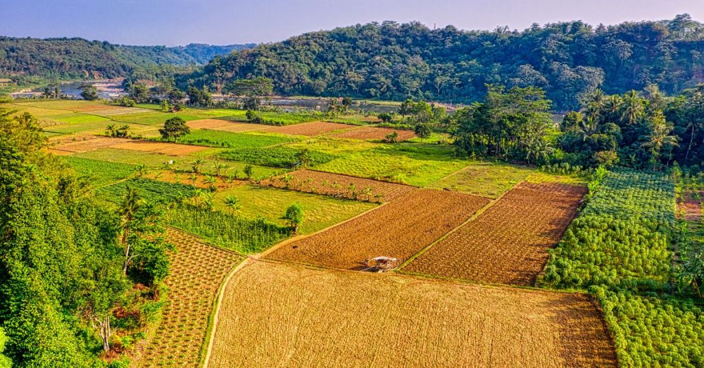 Pemandangan udara menakjubkan dari ladang subur dan bukit-bukit bergelombang di Jawa Barat, Indonesia, di bawah langit biru yang cerah.