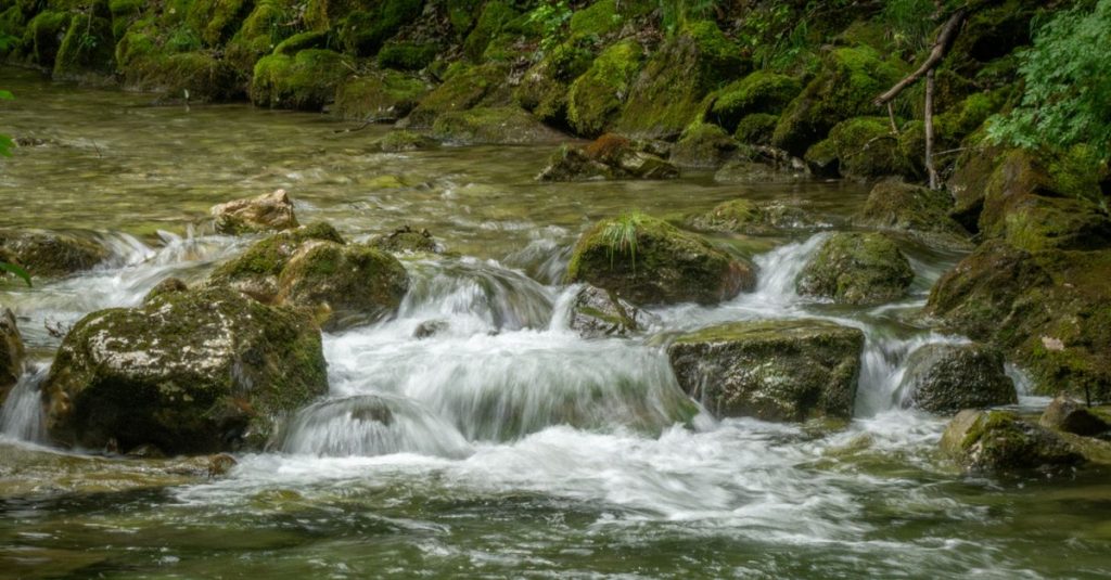 Aliran sungai hutan yang tenang mengalir di atas bebatuan yang ditutupi lumut, menciptakan suasana yang damai.