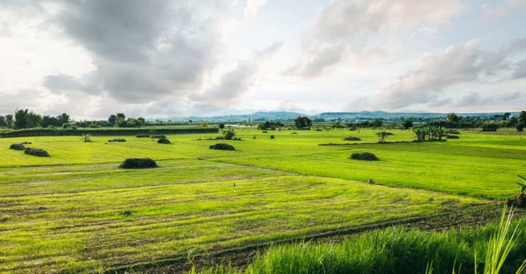 Pemandangan indah hamparan sawah hijau di bawah langit berawan di Kon Tum, Vietnam.