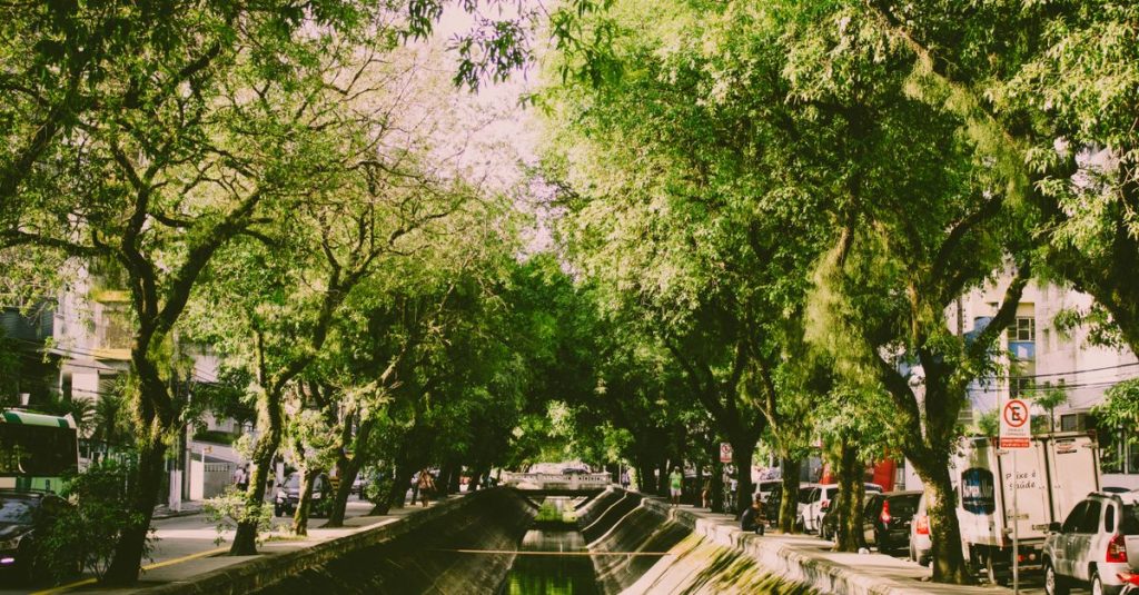 Pemandangan musim panas kanal perkotaan yang subur dikelilingi pepohonan hijau, jalan, dan bangunan.
