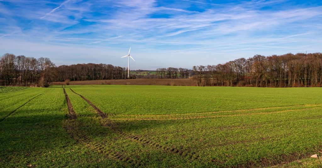 Pemandangan pedesaan yang damai di Coesfeld dengan ladang hijau dan sebuah turbin angin yang berdiri sendiri di bawah langit biru yang cerah.
