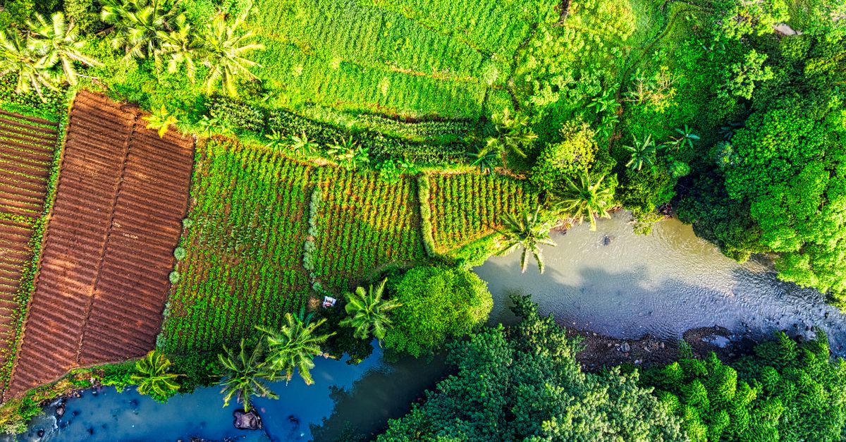 Pemandangan udara lahan pertanian yang vibran dan sungai di Jawa Barat, Indonesia.