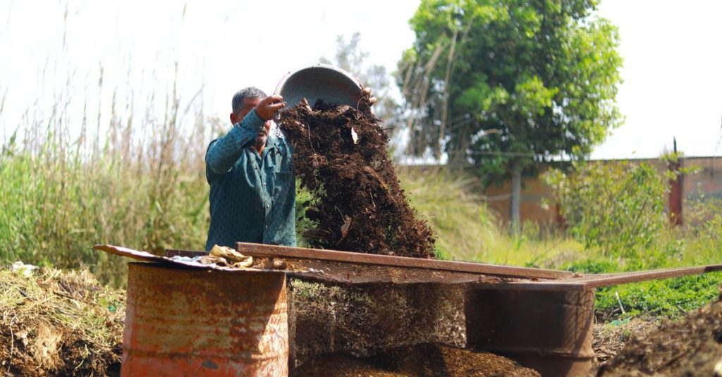 Seorang tukang kebun di India menuangkan kompos organik ke dalam tong di luar ruangan, mempromosikan pertanian berkelanjutan.