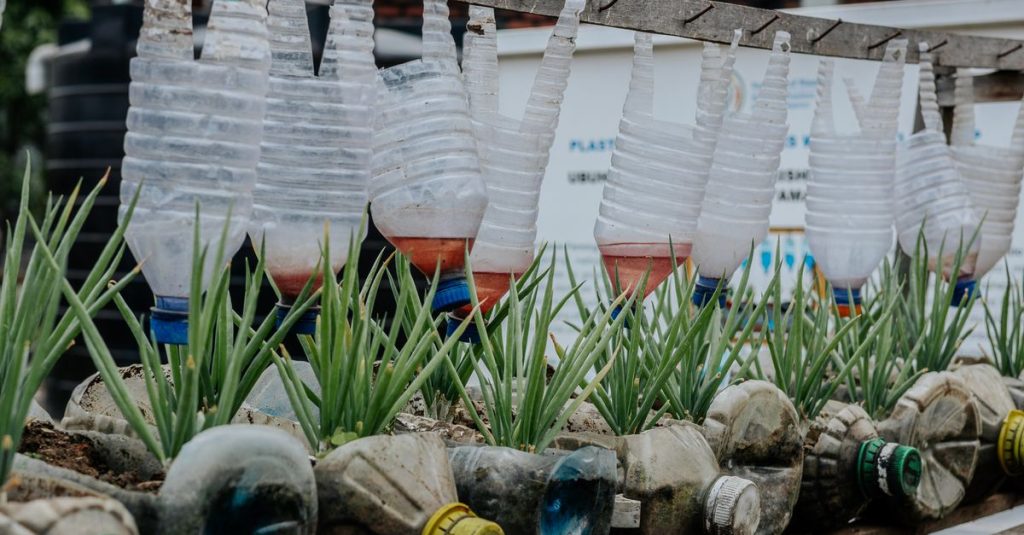 Taman vertikal kreatif menggunakan botol plastik daur ulang dengan tanaman hijau di luar ruangan.
