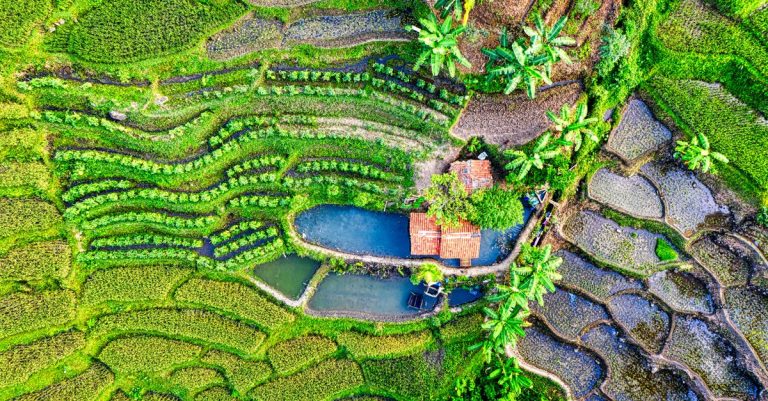 Foto udara yang cerah dari teras sawah dan rumah pedesaan di Purwakarta, Indonesia.
