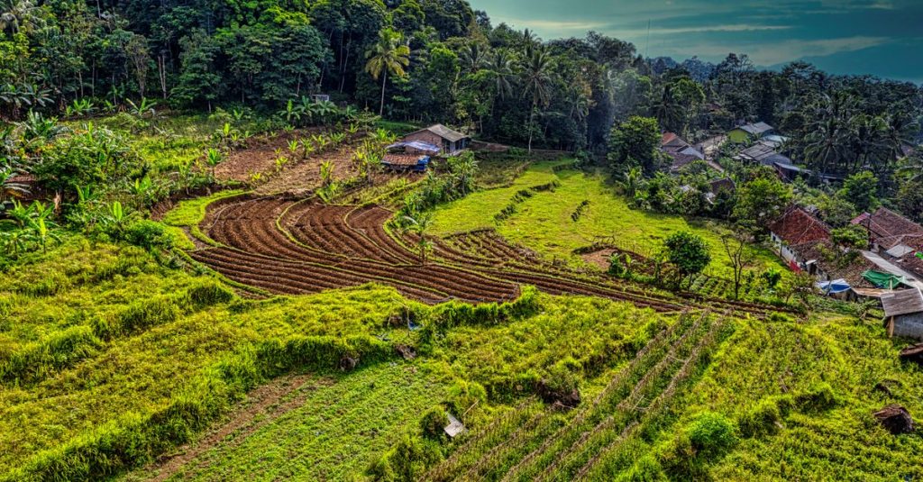 Pemandangan udara sawah teras dan desa di pedesaan hijau subur di Banten, Indonesia.
