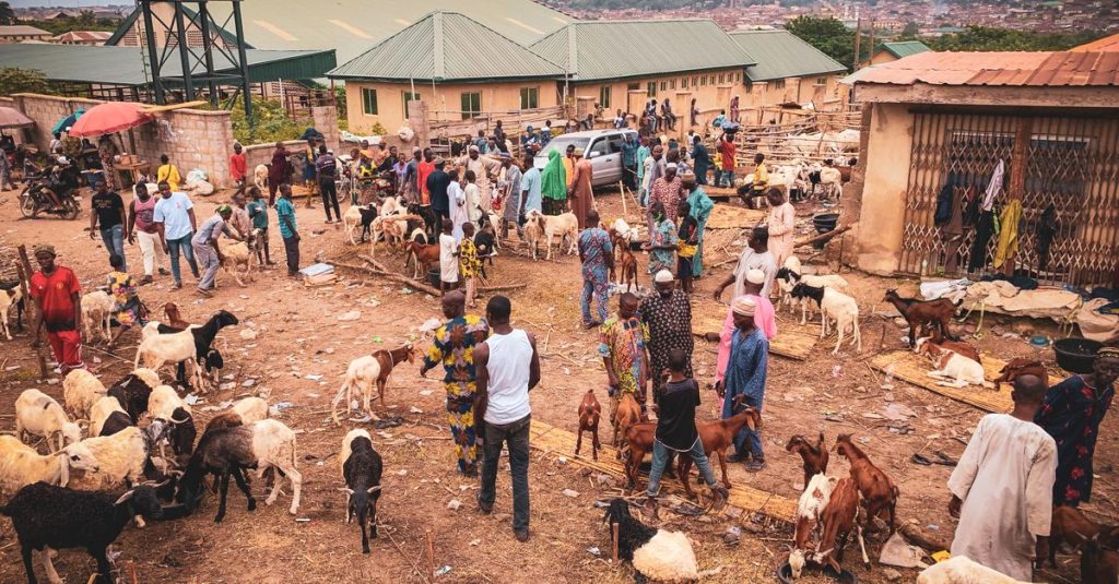Pasar ternak outdoor yang ramai dengan orang-orang berinteraksi dengan kambing di sebuah desa Afrika.