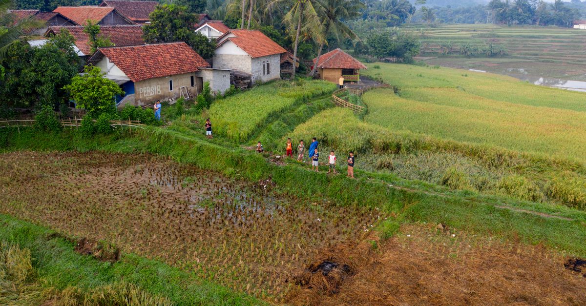 Pemandangan udara desa pedesaan dengan sawah di Rumpin, Jawa Barat, Indonesia.