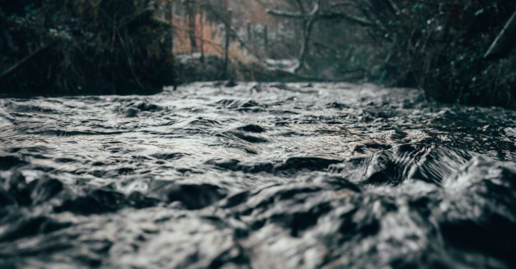 Sebuah sungai tenang mengalir melalui hutan musim gugur, ditangkap dalam detail tinggi.
