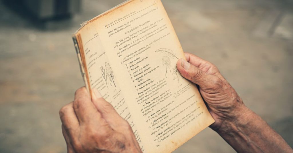 Sebuah close-up tangan-tangan tua yang memegang dan membaca buku vintage di luar ruangan.