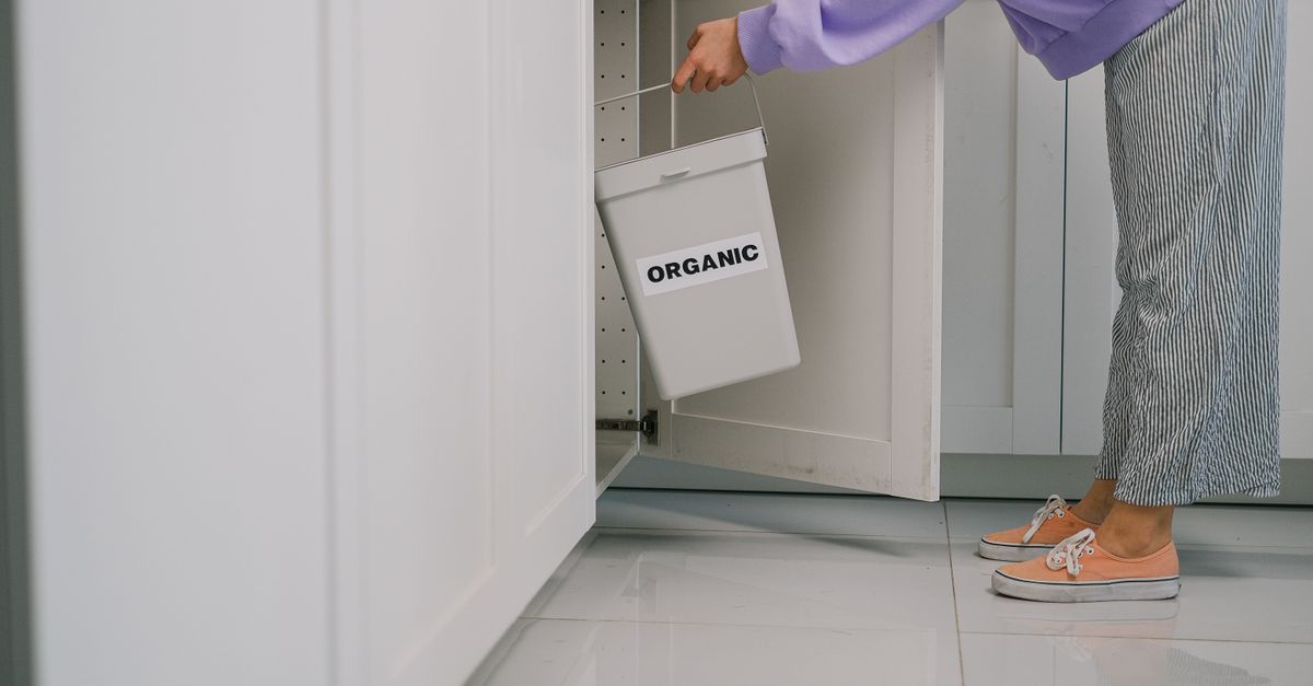 Seseorang meletakkan tempat sampah organik ke dalam lemari dapur modern, mempromosikan gaya hidup berkelanjutan.