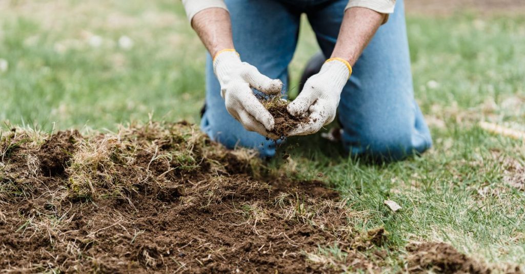 Seseorang dengan celana jeans dan sarung tangan berlutut di atas rumput merawat tanah di lingkungan kebun.