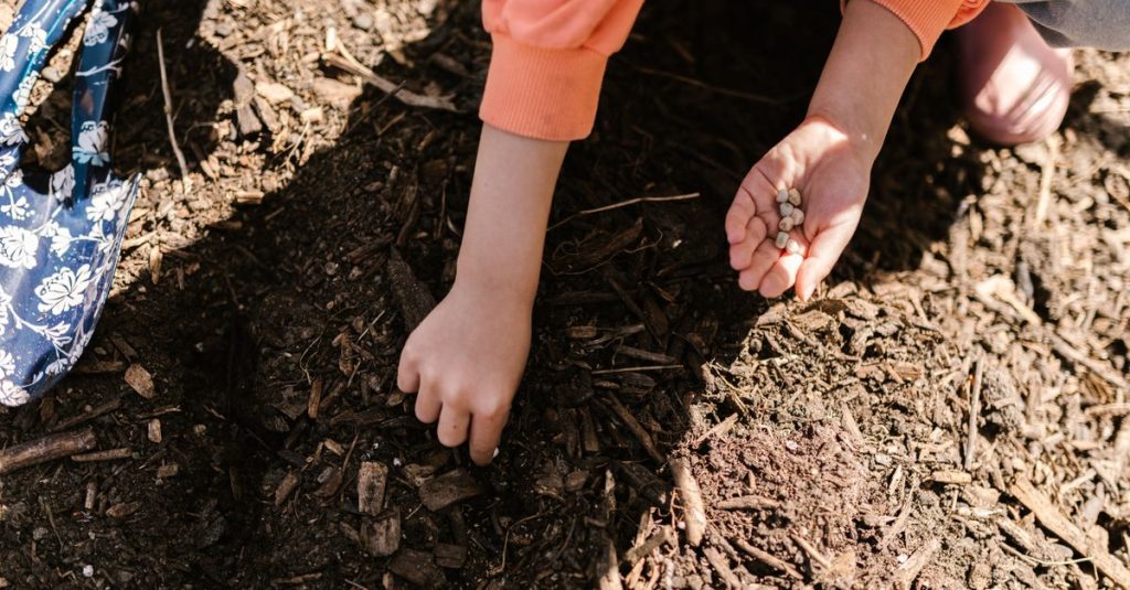 Seorang anak menanam benih di tanah, mewakili berkebun organik dan pertanian.