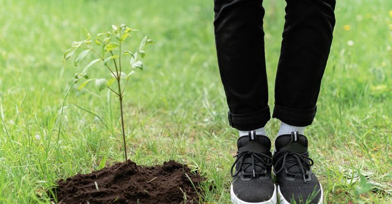 Seorang pria dengan celana hitam dan sepatu kets menanam bibit di ladang rumput hijau.