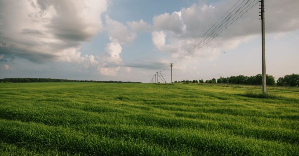 Ladang hijau yang luas dengan tiang utilitas di bawah langit mendung, menawarkan pemandangan alam yang melimpah.