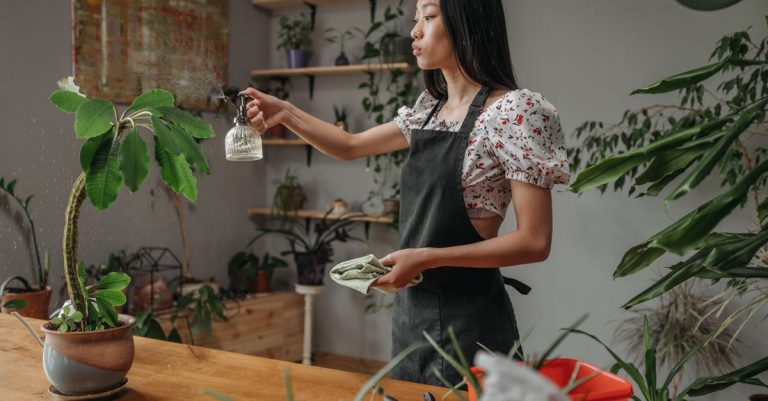 Wanita mengenakan apron menyemprot tanaman pot di dalam ruangan dengan penuh perhatian dan fokus.